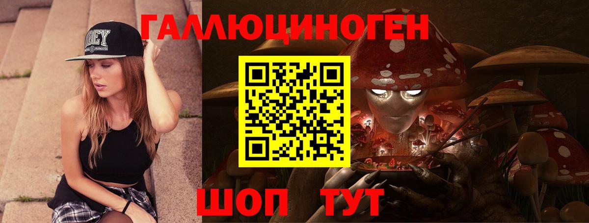 Псилоцибиновые грибы Psilocybine cubensis  Вход с VPN  Саянск 